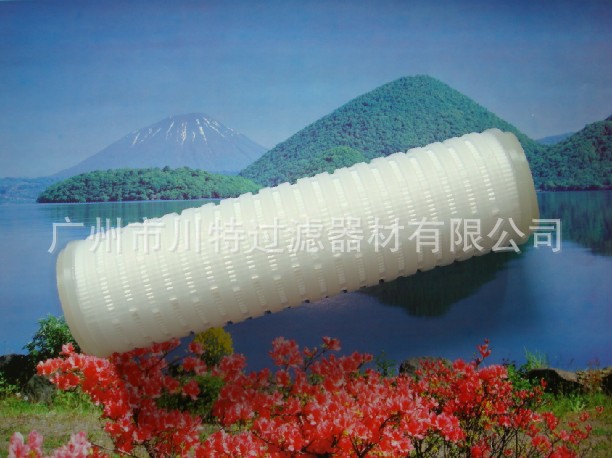 疏水性聚四氟乙烯滤芯